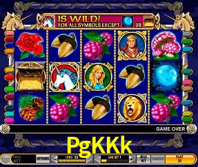 Descubra o Mundo do Cassino Online com PgKKk